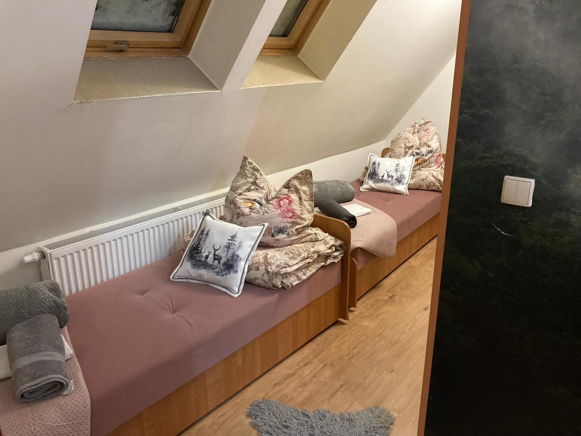 Willa Anulka Na Hrubym Zakopane Dış mekan fotoğraf